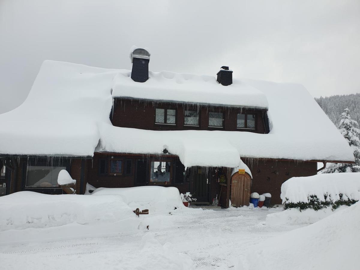 Am Sommerberg - Greschuk Apartments Feldberg  Buitenkant foto