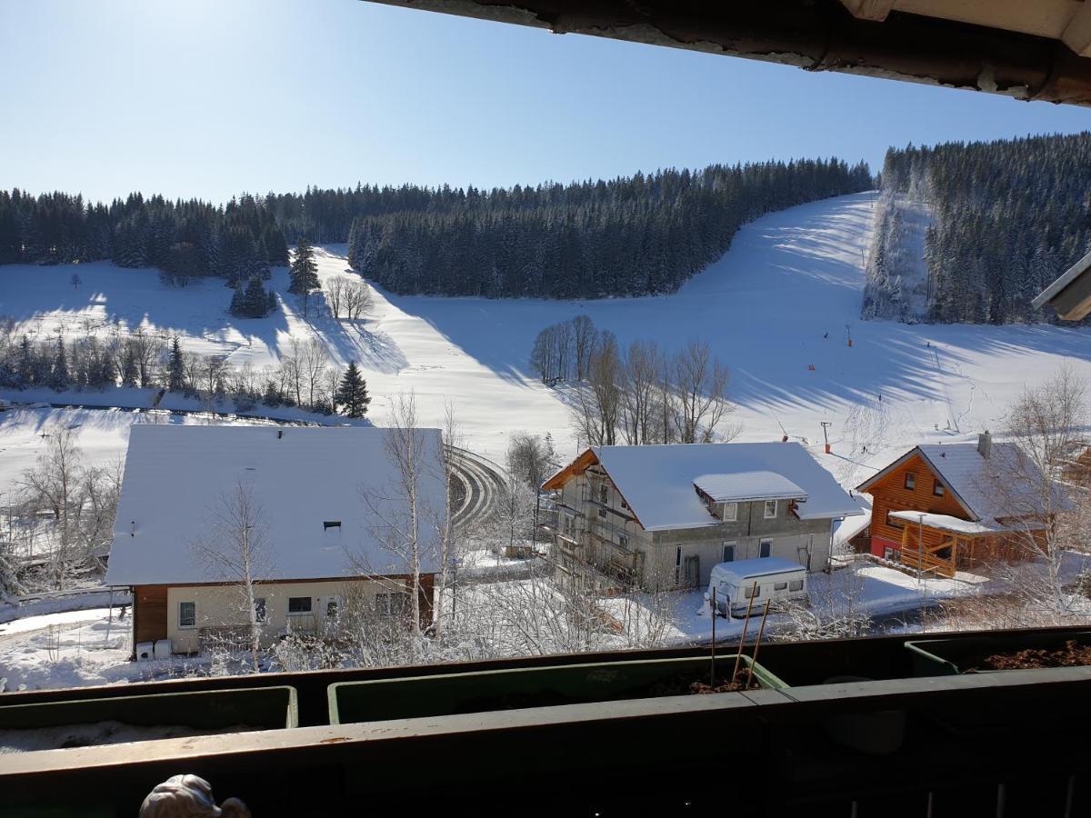 Am Sommerberg - Greschuk Apartments Feldberg  Buitenkant foto