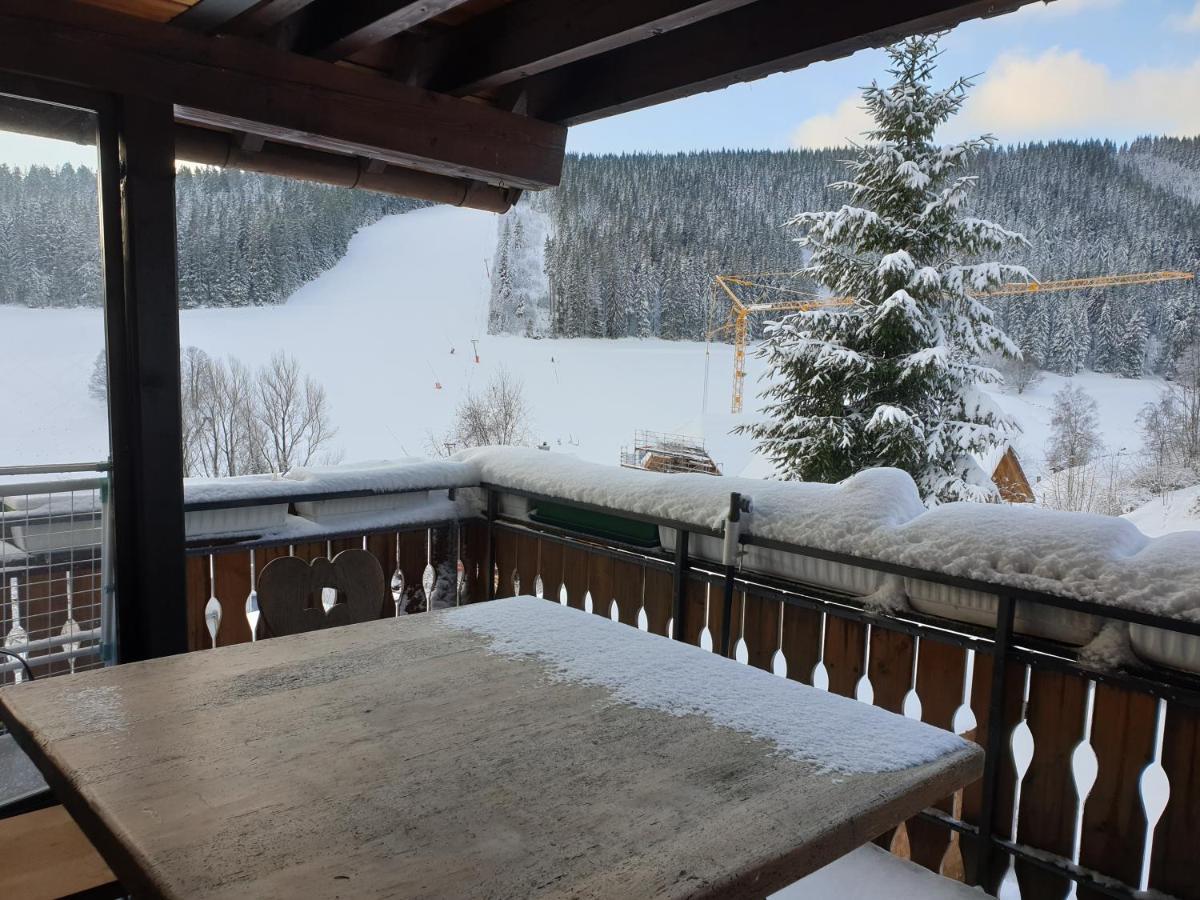 Am Sommerberg - Greschuk Apartments Feldberg  Buitenkant foto