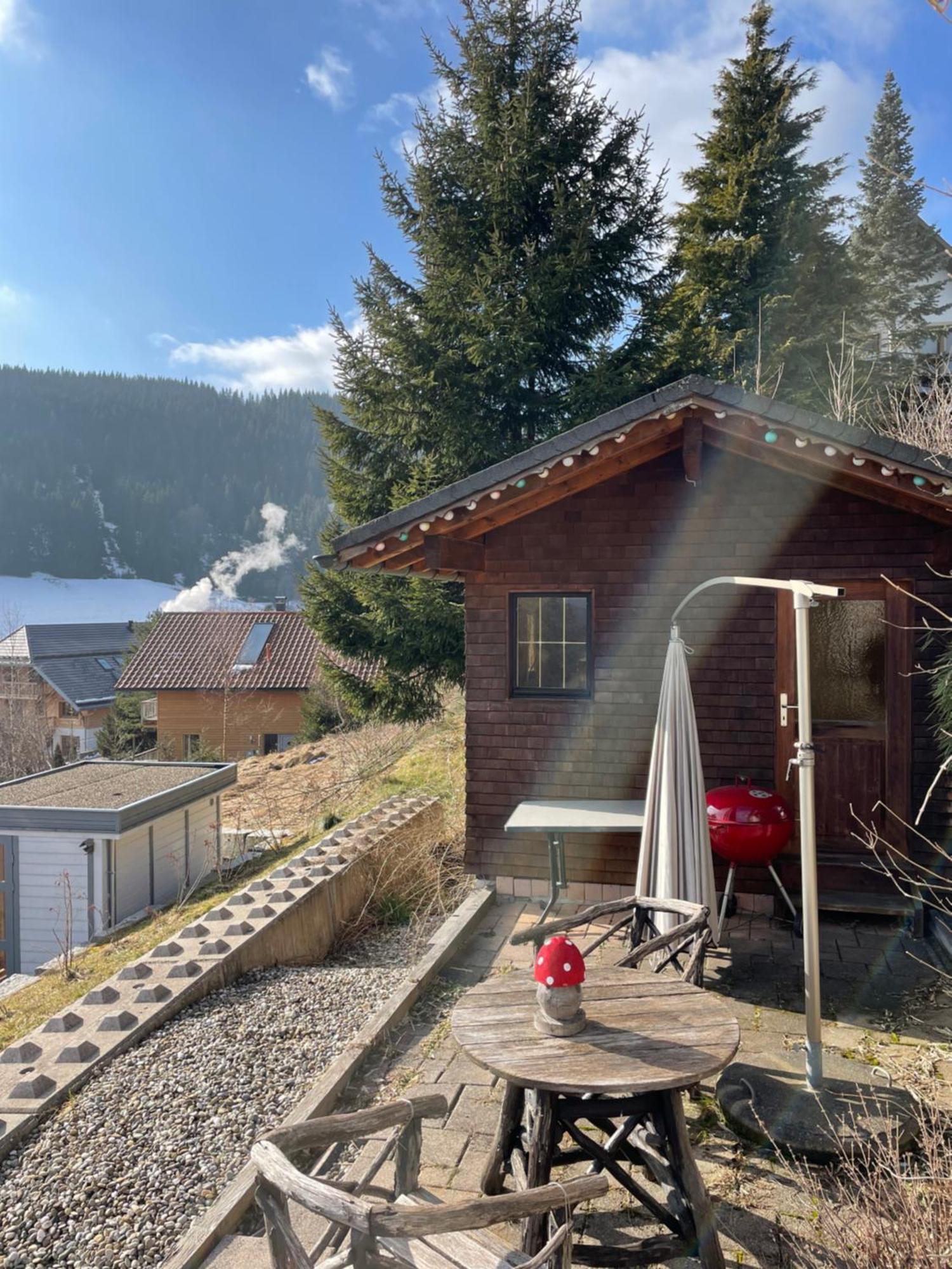 Am Sommerberg - Greschuk Apartments Feldberg  Buitenkant foto